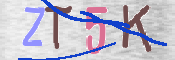 キャプチャ画像
