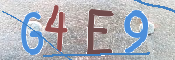 キャプチャ画像