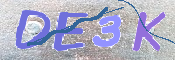 キャプチャ画像