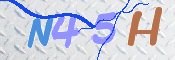キャプチャ画像