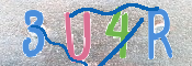 キャプチャ画像