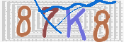キャプチャ画像