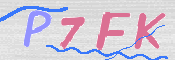 キャプチャ画像