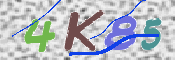キャプチャ画像