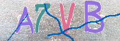 キャプチャ画像