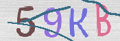 キャプチャ画像