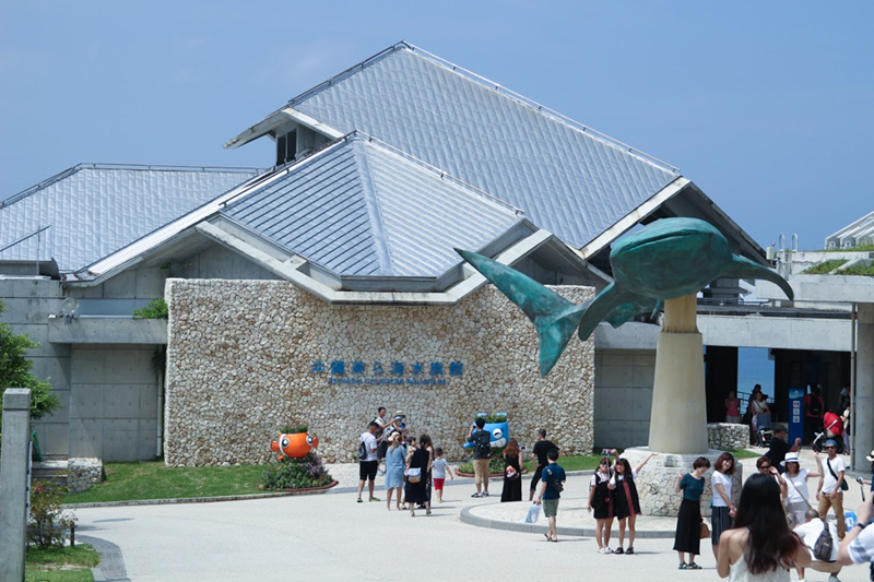 美ら海水族館